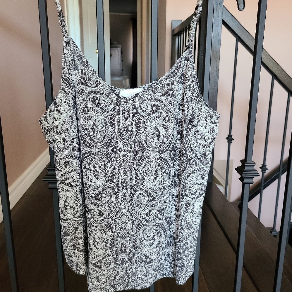 Aritzia Wilfred Silk Camisole